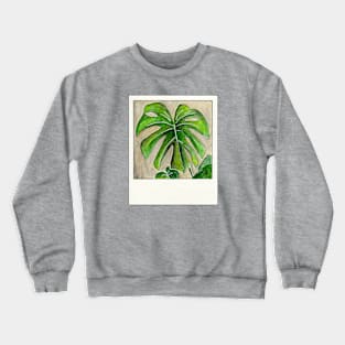 Monstera Watercolor Crewneck Sweatshirt